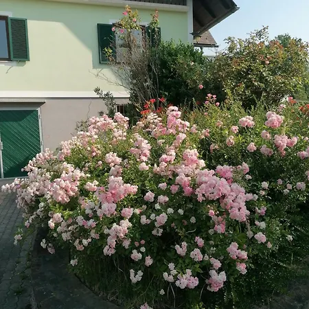 度假居 Einfamilienhaus Am Land Ortsteil Mellach Naehe Graz *