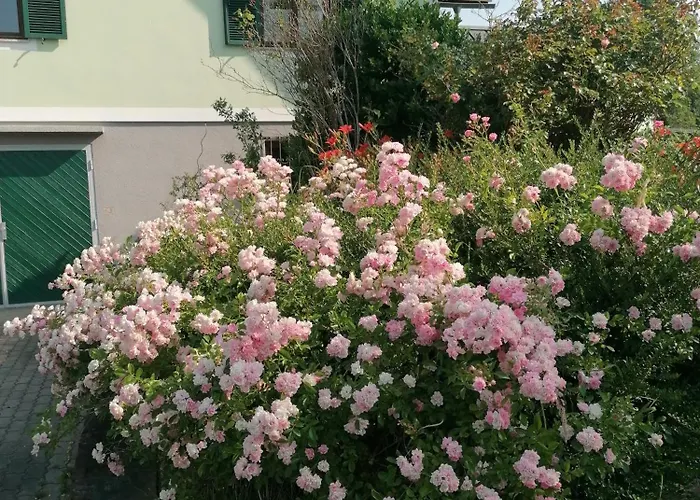 Ferienhaus Einfamilienhaus Am Land Ortsteil Mellach Nähe Graz *
